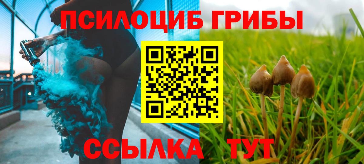 Галлюциногенные грибы Psilocybe Назарово